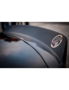 MAXTON España DUCKTAIL SPOILER BMW M3 E92 2