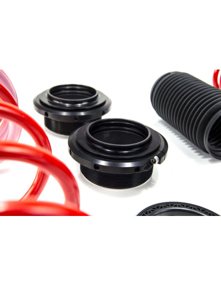 Muelles ajustables MTS Technik Golf VIII (CD1) – Regulación 25–40 mm