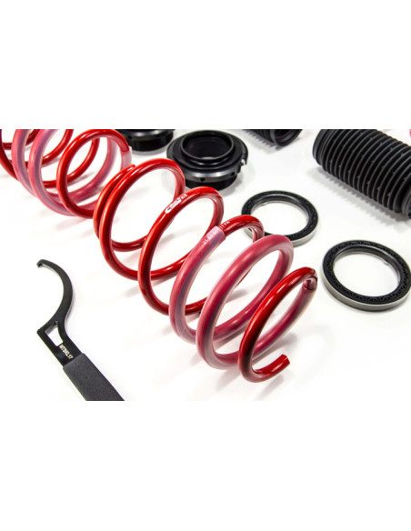 Muelles ajustables MTS Technik Golf VIII (CD1) – Regulación 25–40 mm