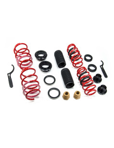 Muelles ajustables MTS Technik Golf VIII (CD1) –...