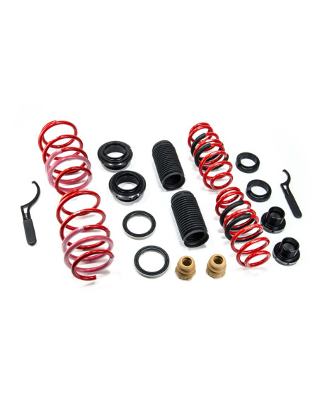 Muelles ajustables MTS Technik Golf VIII (CD1) – Regulación 25–40 mm