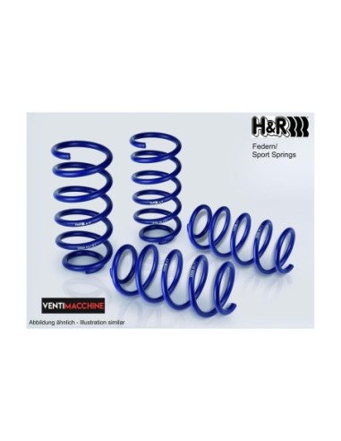 H&R KIT MUELLES PROGRESIVOS VW PASSAT  TYP 3C AB 981kg VA-LAST HyR