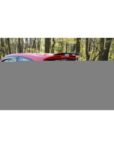 MAXTON España Spoiler Cap V.1 Ford Fiesta ST Mk6 2